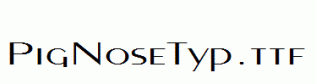 PigNoseTyp.ttf