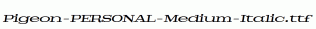 Pigeon-PERSONAL-Medium-Italic.ttf