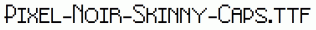 Pixel-Noir-Skinny-Caps.ttf