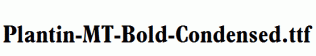 Plantin-MT-Bold-Condensed.ttf