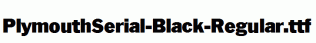 PlymouthSerial-Black-Regular.ttf