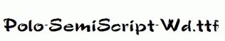 Polo-SemiScript-Wd.ttf