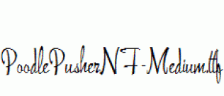 PoodlePusherNF-Medium.ttf