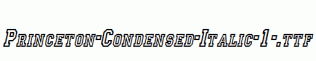 Princeton-Condensed-Italic-1-.ttf
