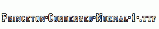 Princeton-Condensed-Normal-1-.ttf