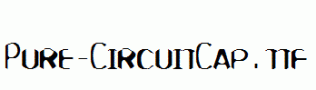 Pure-CircuitCap.ttf
