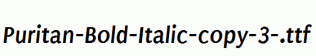 Puritan-Bold-Italic-copy-3-.ttf