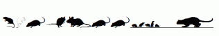 Rats.ttf