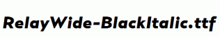 RelayWide-BlackItalic.ttf