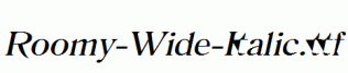 Roomy-Wide-Italic.ttf