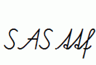 SAS.ttf