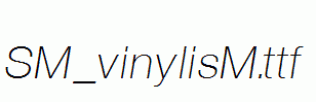 SM_vinylisM.ttf