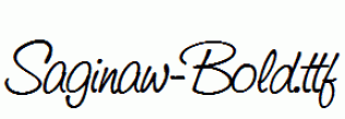 Saginaw-Bold.ttf