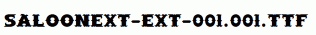 SaloonExt-Ext-001.001.ttf
