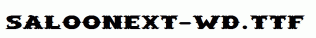 SaloonExt-Wd.ttf