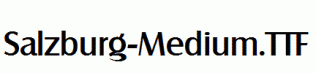 Salzburg-Medium.ttf
