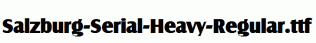 Salzburg-Serial-Heavy-Regular.ttf