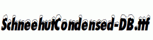 SchneehutCondensed-DB.ttf