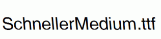 SchnellerMedium.ttf