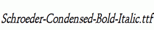Schroeder-Condensed-Bold-Italic.ttf