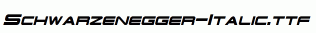 Schwarzenegger-Italic.ttf