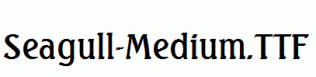 Seagull-Medium.ttf