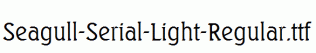 Seagull-Serial-Light-Regular.ttf