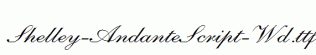 Shelley-AndanteScript-Wd.ttf