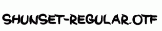 ShunSet-Regular.otf