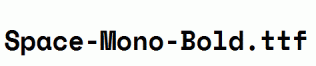 Space-Mono-Bold.ttf