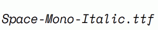 Space-Mono-Italic.ttf