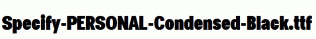 Specify-PERSONAL-Condensed-Black.ttf