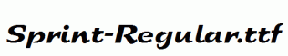 Sprint-Regular.ttf