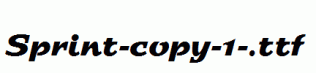 Sprint-copy-1-.ttf