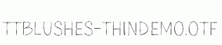 TTBlushes-ThinDEMO.otf