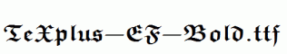 TeXplus-EF-Bold.ttf