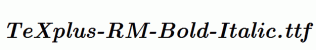 TeXplus-RM-Bold-Italic.ttf
