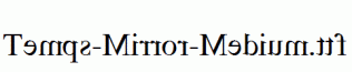 Temps-Mirror-Medium.ttf