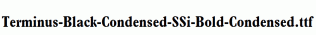 Terminus-Black-Condensed-SSi-Bold-Condensed.ttf