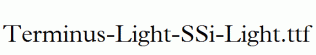 Terminus-Light-SSi-Light.ttf