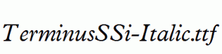 TerminusSSi-Italic.ttf