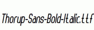 Thorup-Sans-Bold-Italic.ttf