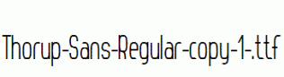 Thorup-Sans-Regular-copy-1-.ttf