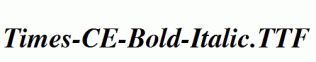 Times-CE-Bold-Italic.ttf