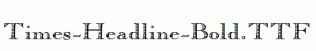Times-Headline-Bold.ttf