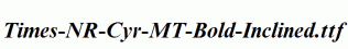 Times-NR-Cyr-MT-Bold-Inclined.ttf