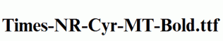 Times-NR-Cyr-MT-Bold.ttf