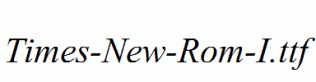 Times-New-Rom-I.ttf