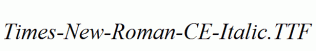 Times-New-Roman-CE-Italic.ttf