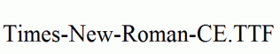 Times-New-Roman-CE.ttf